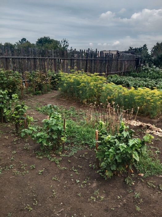 Продам дачу пкст краснопартизанское