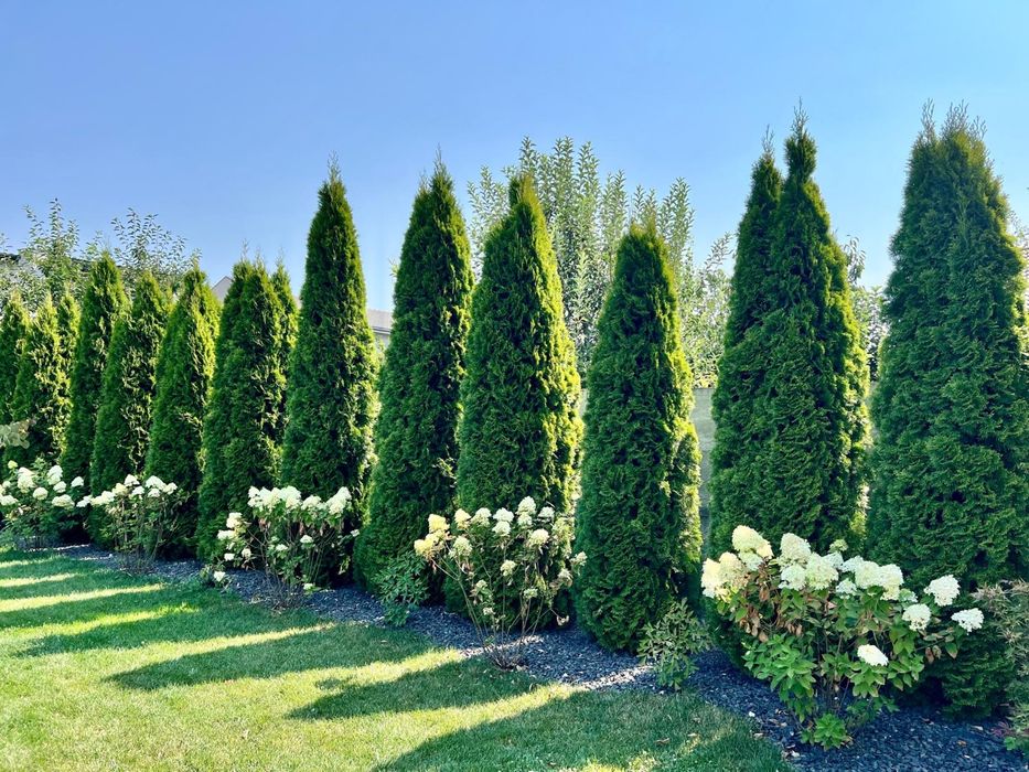 Gazon rulou, sisteme irigare automatizate, amenajare spatii verzi