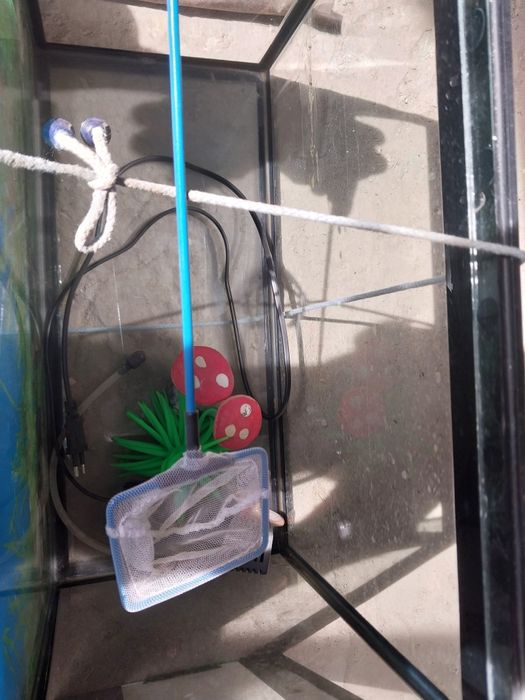 Аквариум с компрессором