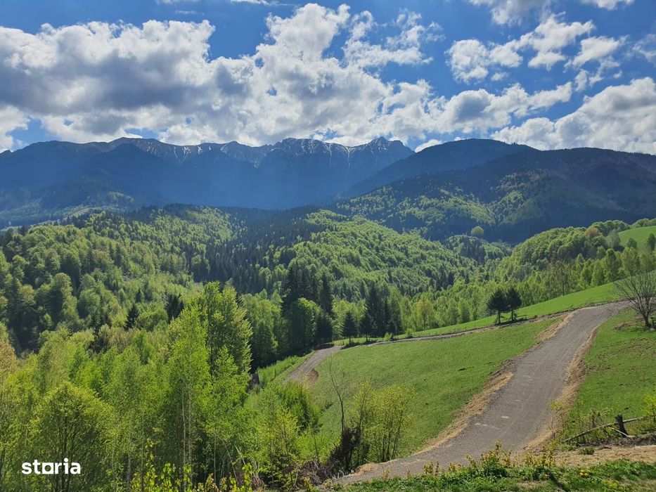 Loturi premium, cu vedere directă către Mt Bucegi