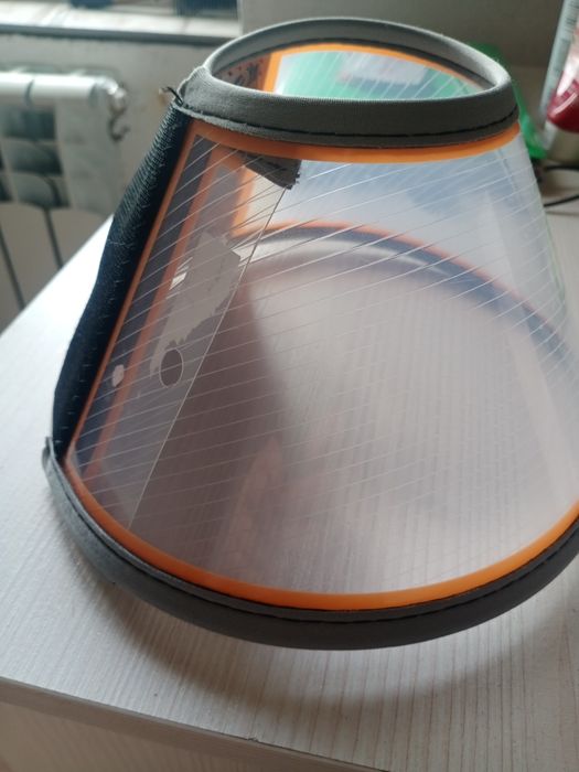 Ветеринарный воротник