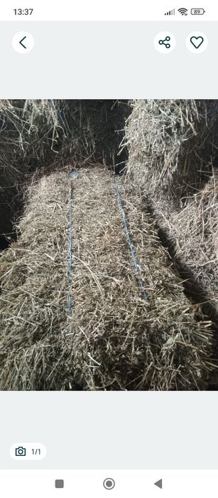 Vând s-au Schimb Baloți