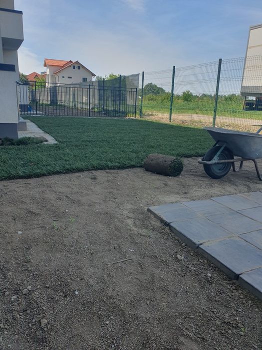 Gazon rulou sport calitate