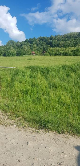 De vanzare teren cu C F 10 ha