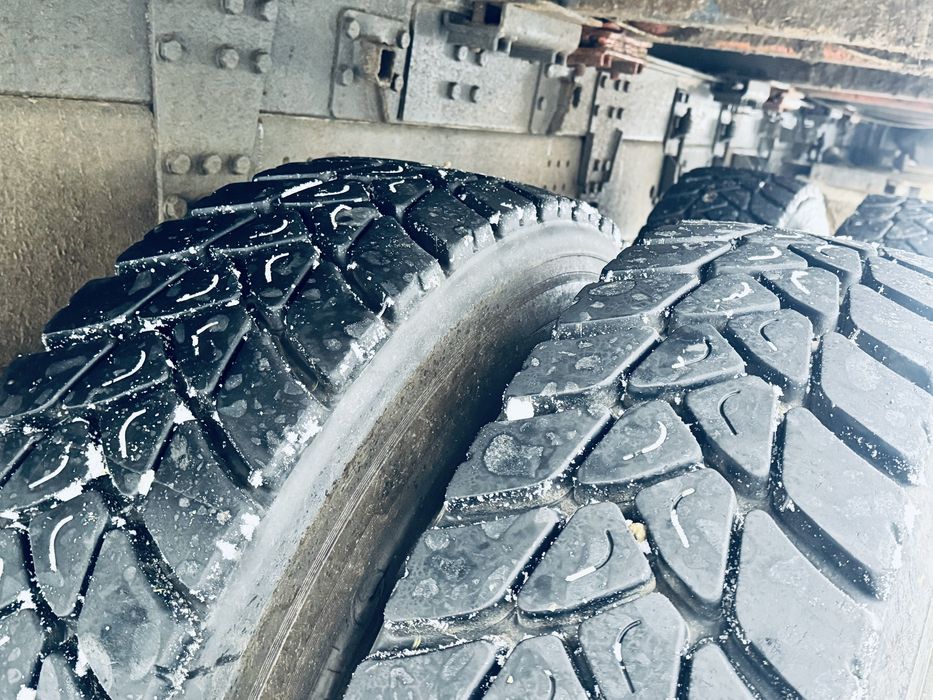 Camion Forestier Scania