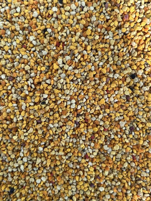 Мед,пчелен прашец ,пчелна рамка с мед - /ЛУКС/— /В БУРКАН/