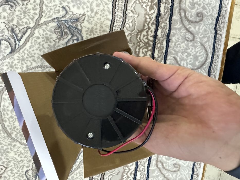 Сирена новая