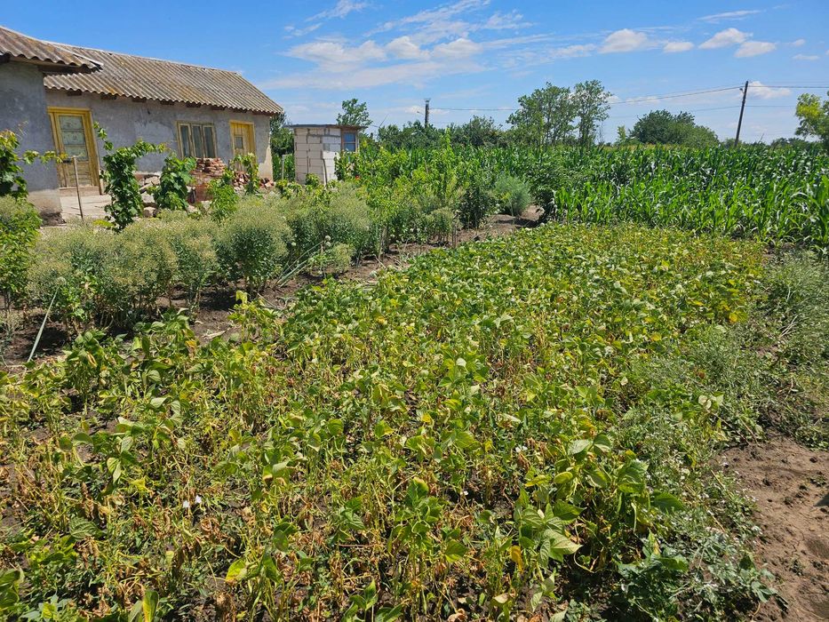 Teren de vanzare cu casă 1439mp