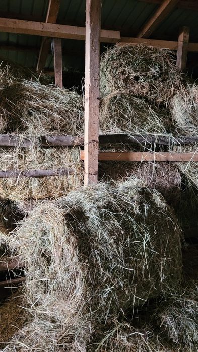 Vand baloti de fan si de ovaz