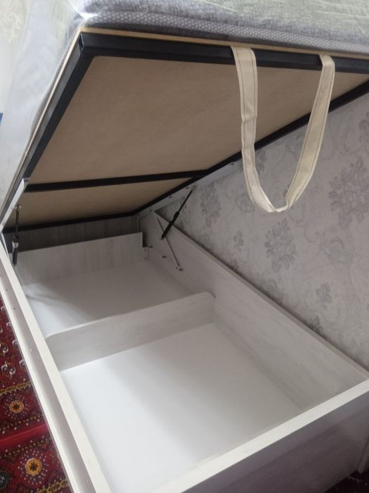 Kravat astana kasoy kapot
K