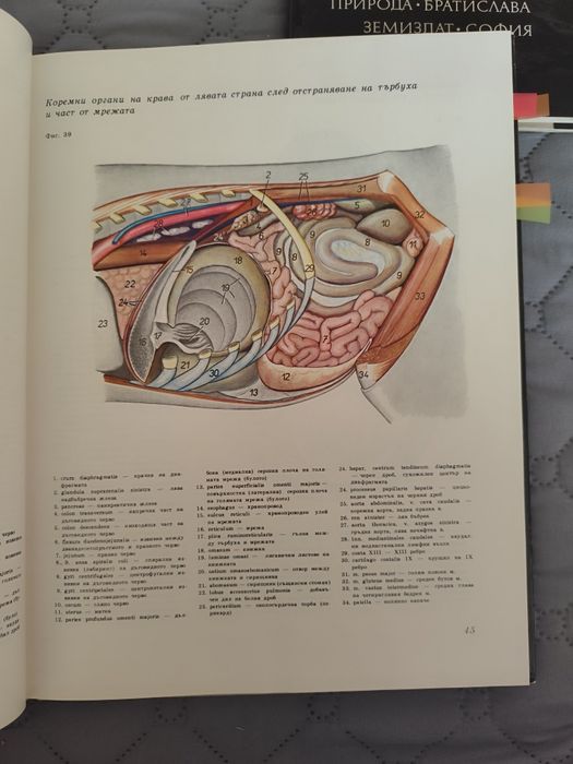 Атлас по топографска анатомия на селскостопанските животни Том 1,2 и 3