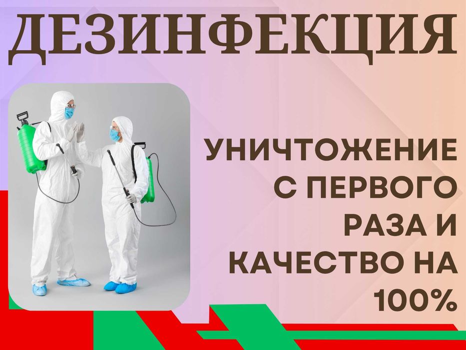 Дезинфекция Dezinfeksiya чивин, пашша, бурга, клапа, кана, илон, ари