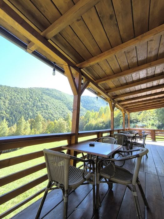 Cabana de inchiriat cu PISCINA INCALZITA si CIUBAR Valea Ierii-Baisoar