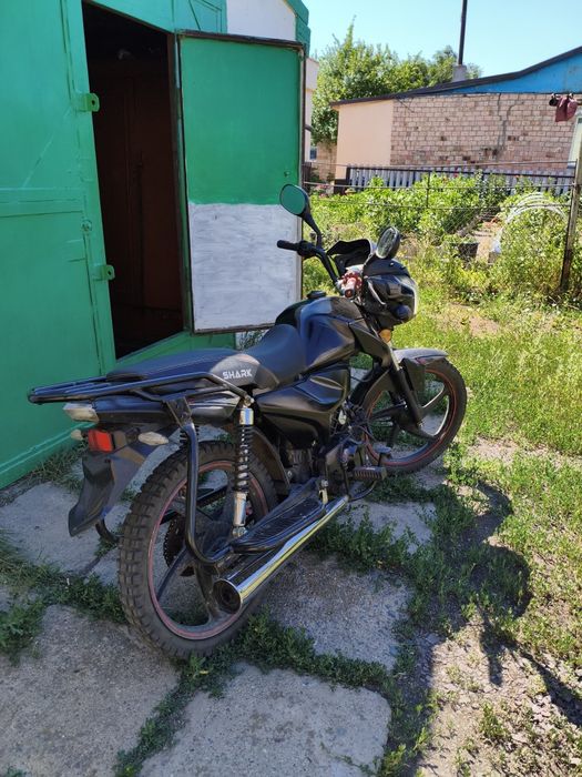 Peda Shark 125см³