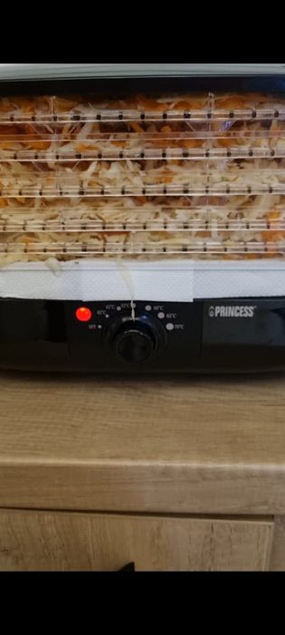 Deshidrator Princess Olanda