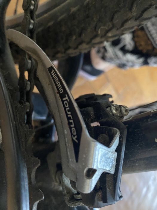 Bicicleta Focus Raven Rookie