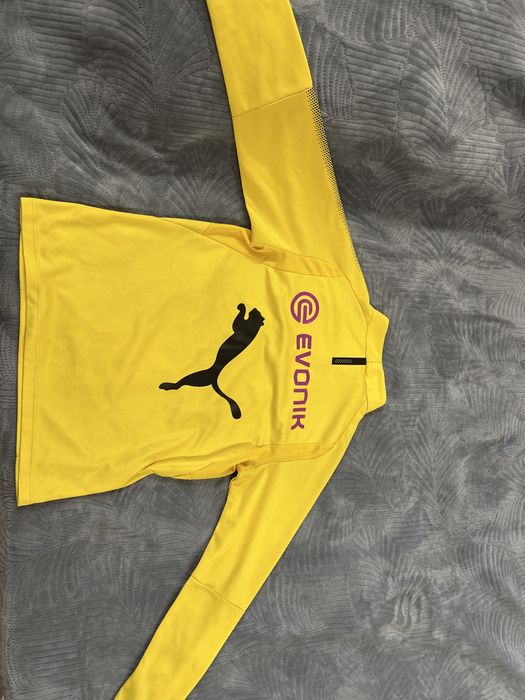 Форма Борусии Пума