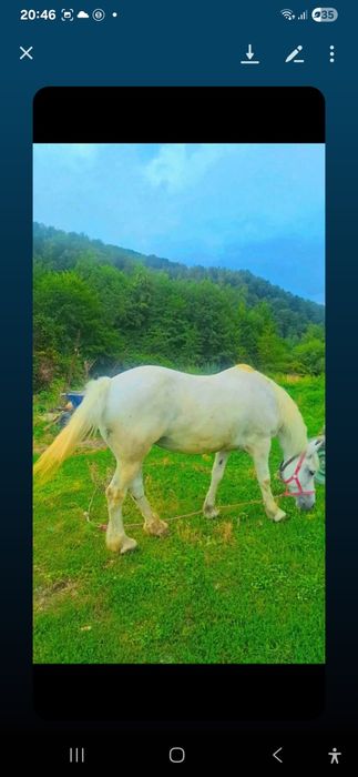 Iapa de vanzare  sau skimb