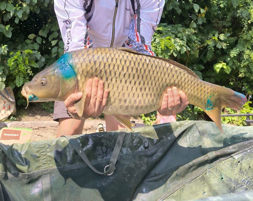 Bag-uri pescuit premium