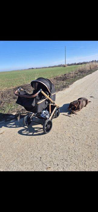 Детска количка Cipolino enigma