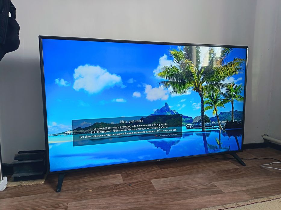 Телевизор большой