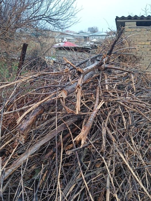 Продаю дрова в хорошем состоянии