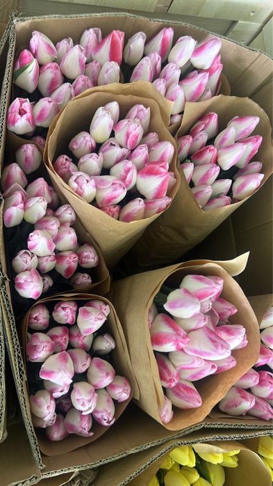 Тюлпаны по выгдной цене