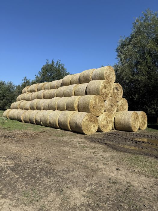 Vând baloți de paie (orz și grâu)