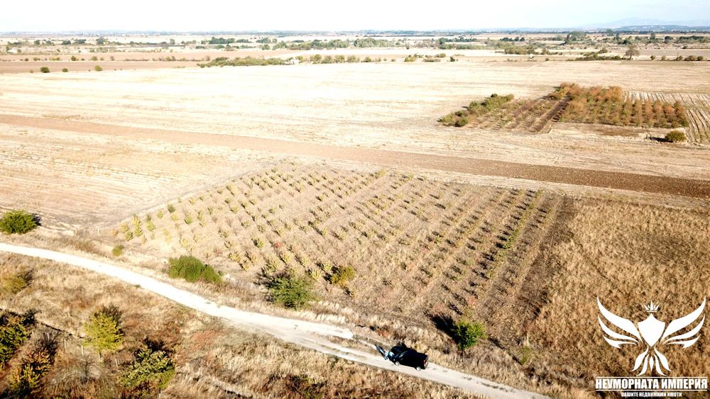 Продавам черешова градина 8000кв.м. в гр.Асеновград