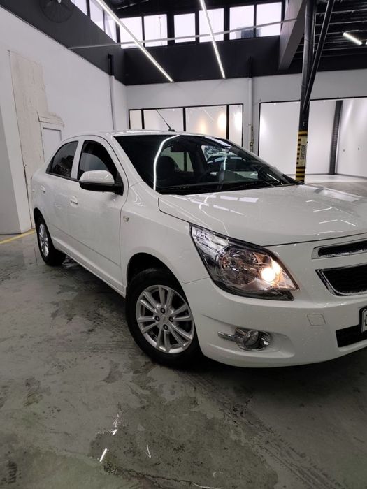 Срочно Идеал Собалт-24