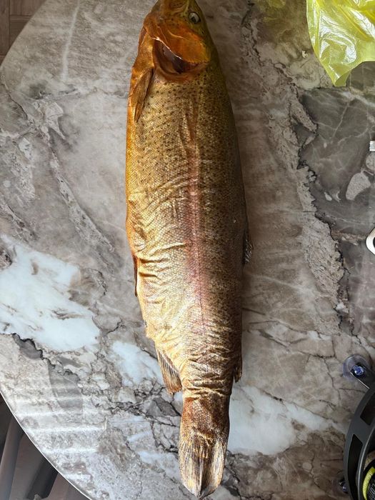 Рыба копченая ФОРЕЛЬ