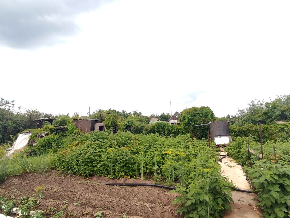 Продажа дачного участка