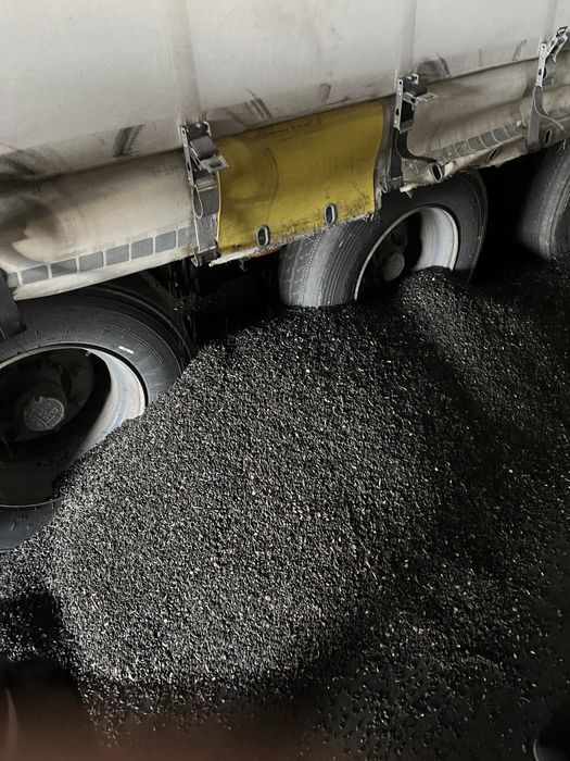 СЕМЕЧКИ 5000тон БЕЗ док