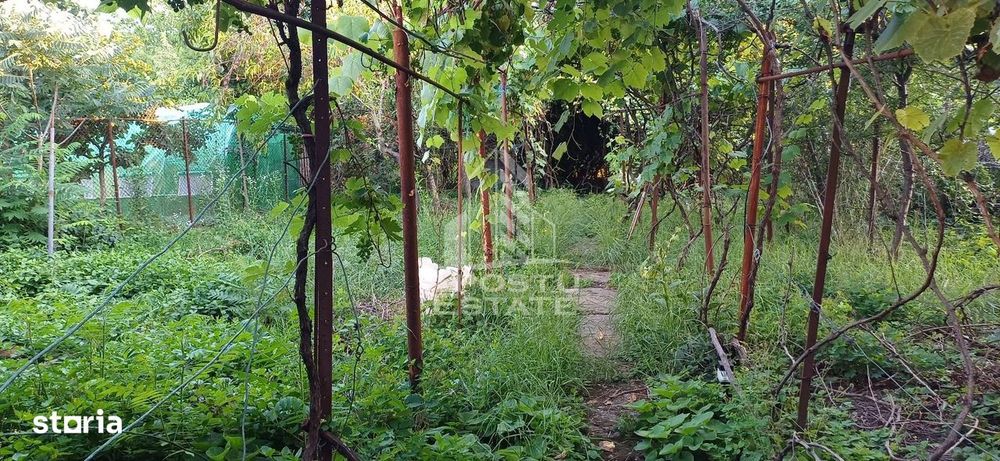 Casa din caramida de vanzare Freidorf Timisoara