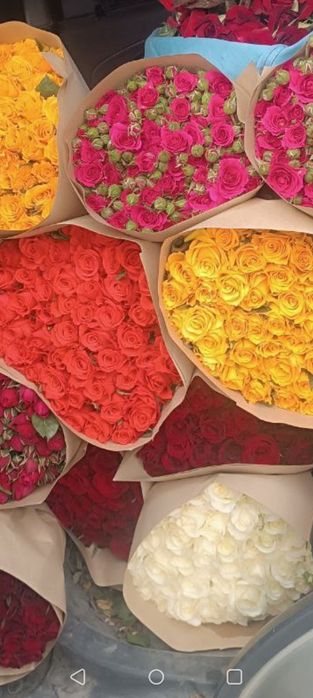 Кафолатлик Асартимент Атиргул Кучатлари СОТИЛАДИ