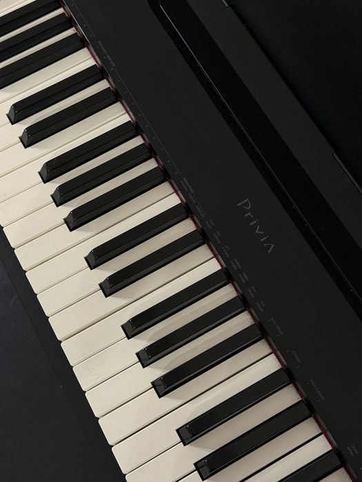 Цифровое пианино Casio Privia PX-830