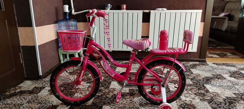 Prinsessa elza velosipedi sotiladi