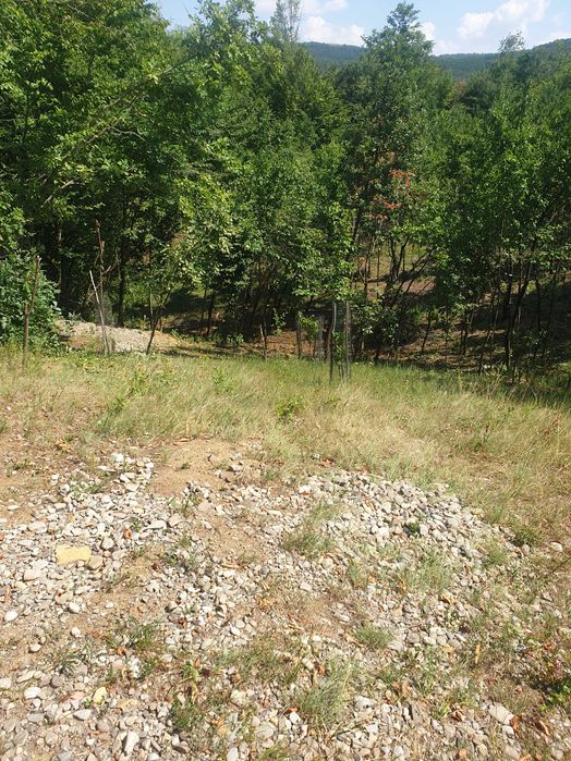 Vand teren la deal 3140 mp