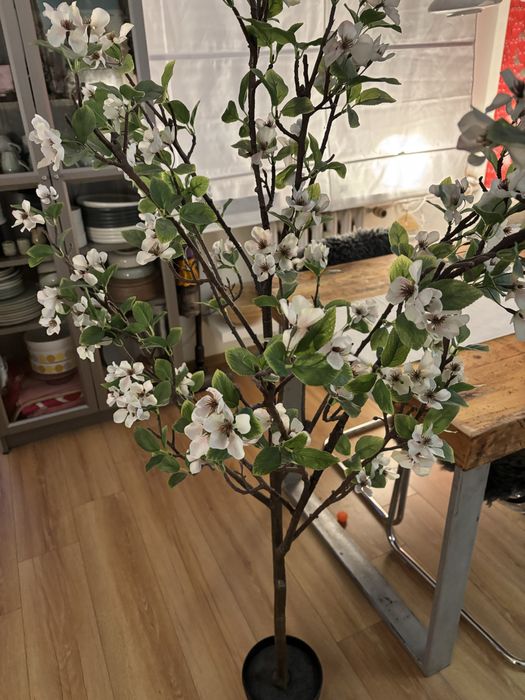 Дърво ябълка Fejka Ikea