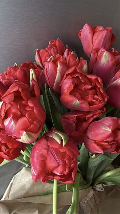 Пионовидные тюльпаны