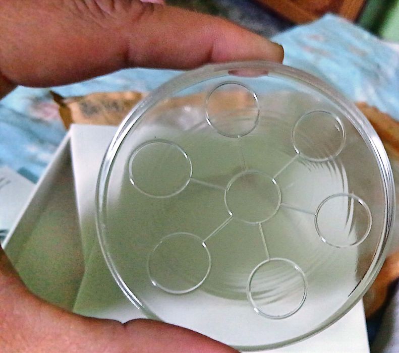 Bio disk. Био диск. Энергетик махсулот