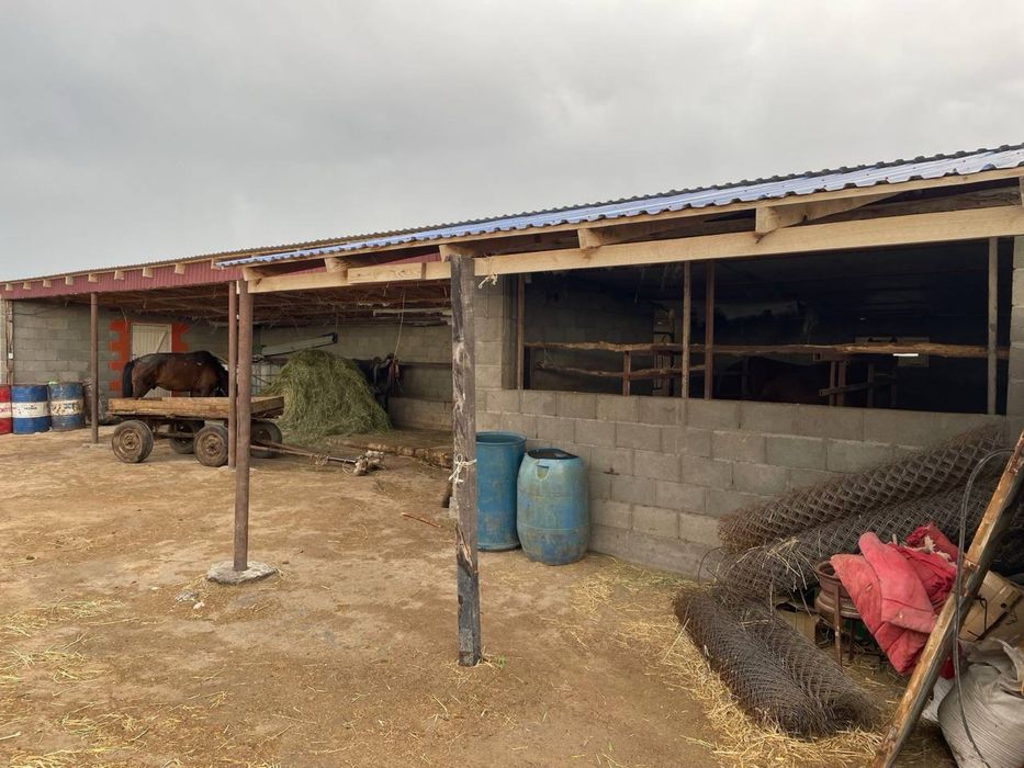 Фазенда / КХ / Ферма