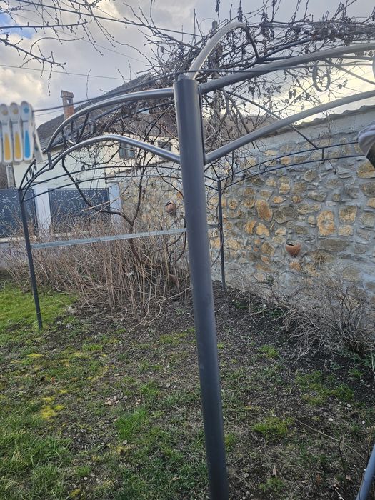 Vand pergola pentu vita de vie cu tot cu vita