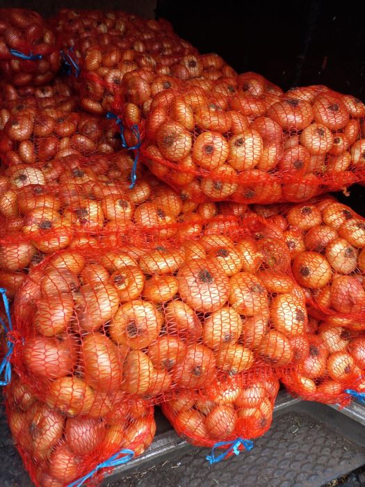 Vand ceapa galbena plata romaneasca !