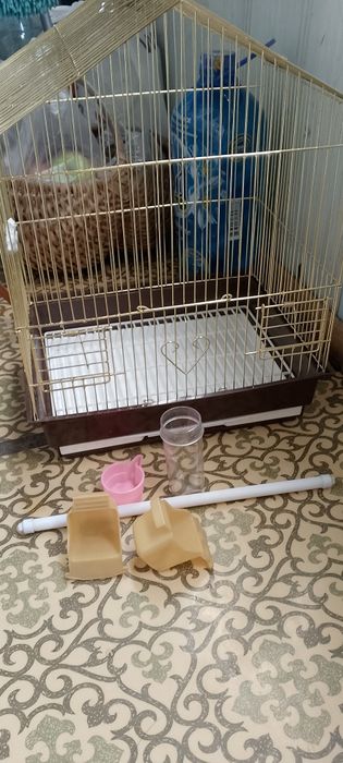 Клетка для птиц.