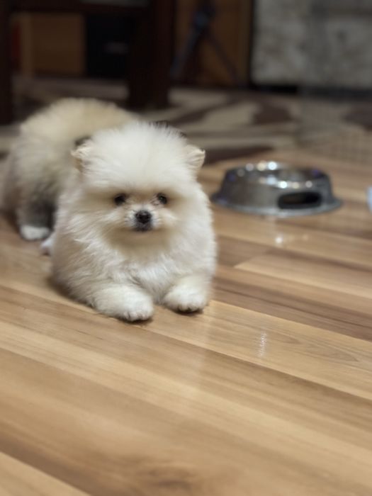 Пухкави малки изкушения