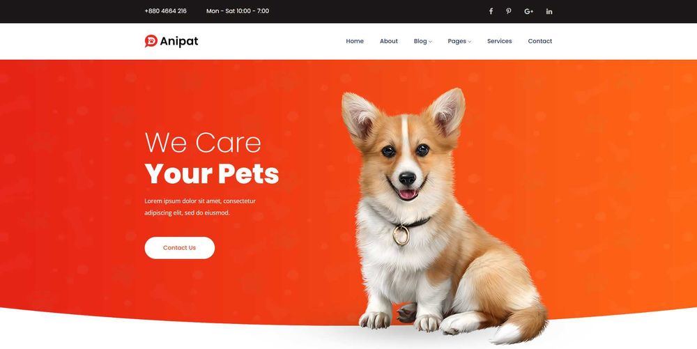 Создание Cайтов, Мобильных Приложений и Telegram-ботов под ключ