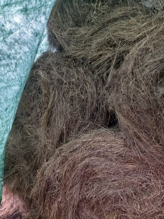 Vând baloti 160/120