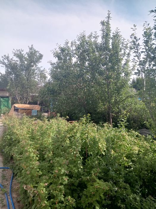 Продам/обмен участок на Уйтасе