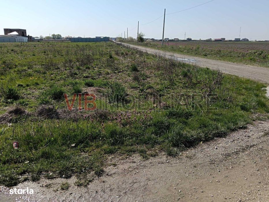 Săcălaz | Parcele teren în PUZ | 600–800 mp | Front 18–20 ml